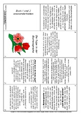 Blumensprache-Lapbook-Tulpe-1-2.pdf